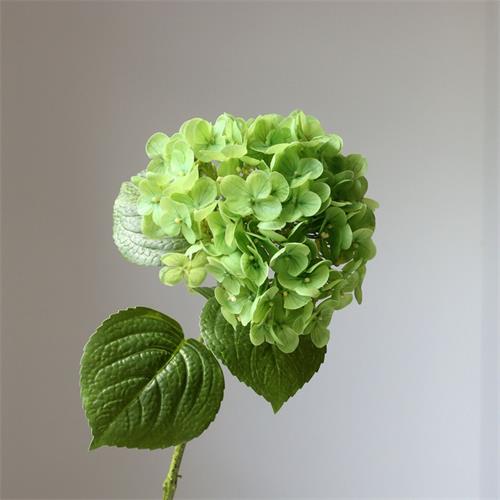 64CM 3D printing real touch Hydrangea