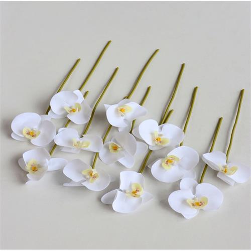 12 Heads Real Touch Phalaenopsis Orchid