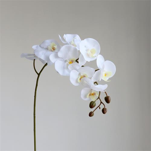 9 Heads real touch Phalaenopsis Orchid